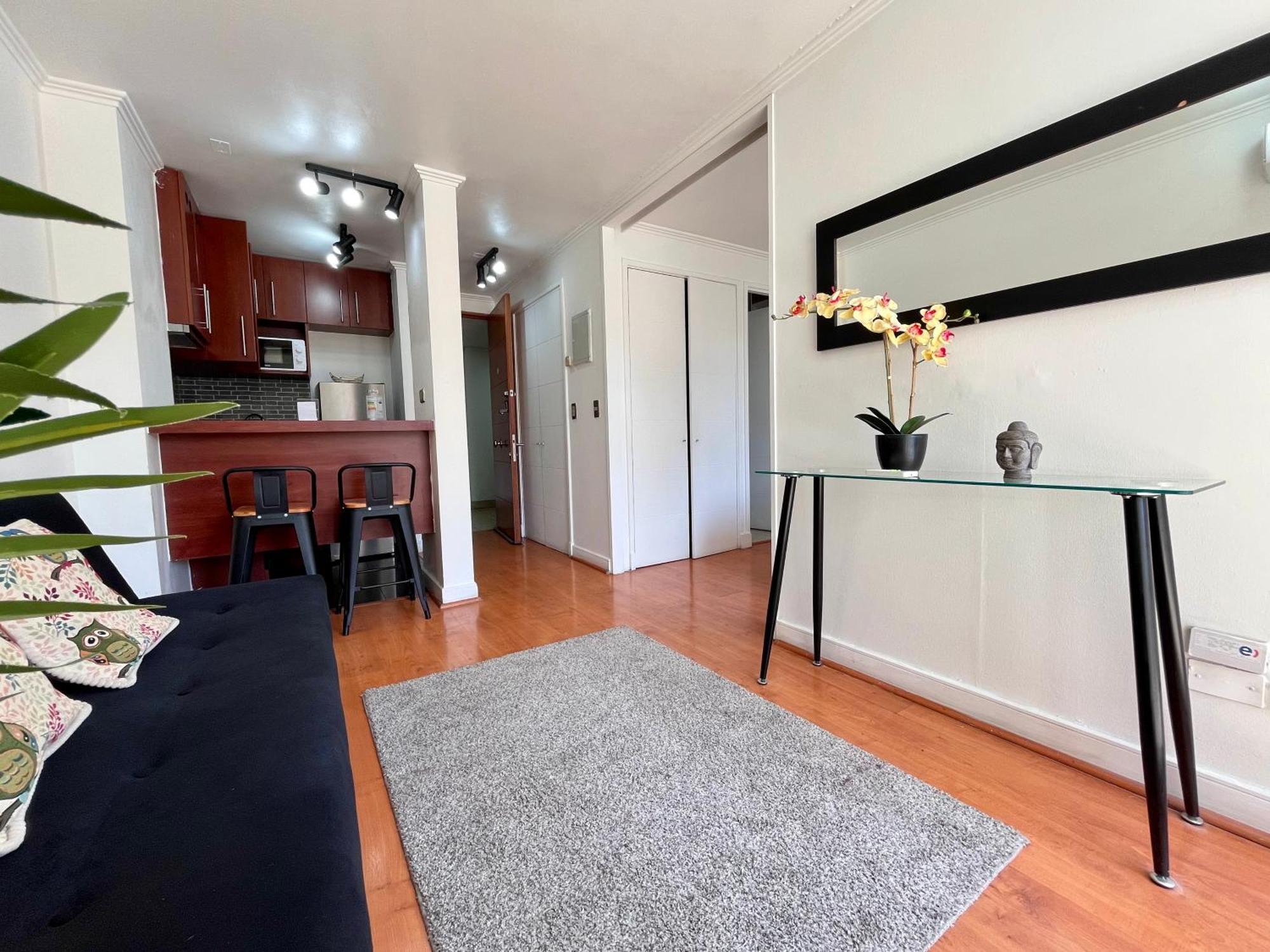 Apartamentos City Centro Manuel Montt Santiago du Chili Extérieur photo